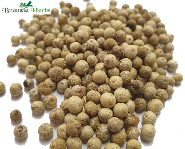 Kampot White Pepper Wholesale - Branzia Herbs