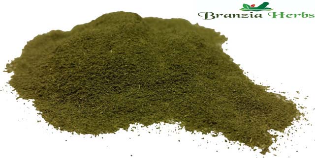 Lime Leaf Powder Wholesale - Branzia Herbs