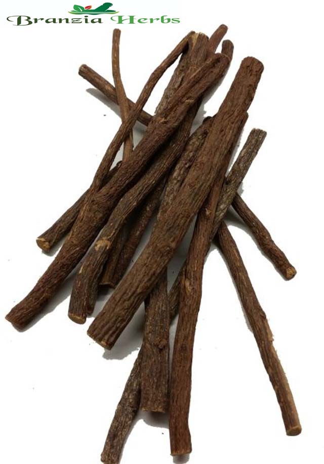 Liquorice Root Sticks Wholesale - Branzia Herbs