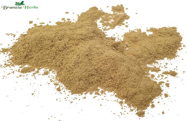 Liquorice Stick Powder Wholesale - Branzia Herbs