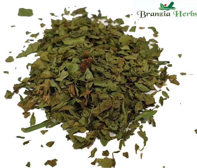 Lovage Leaves Organic Wholesale - Branzia Herbs