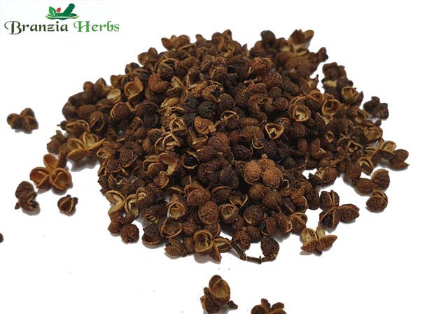 Mac Khen Forest Pepper Wholesale - Branzia Herbs