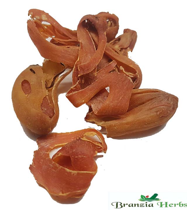Mace Blades Wholesale - Branzia Herbs