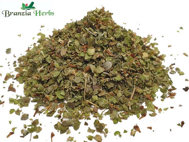 Marjoram Organic Wholesale - Branzia Herbs