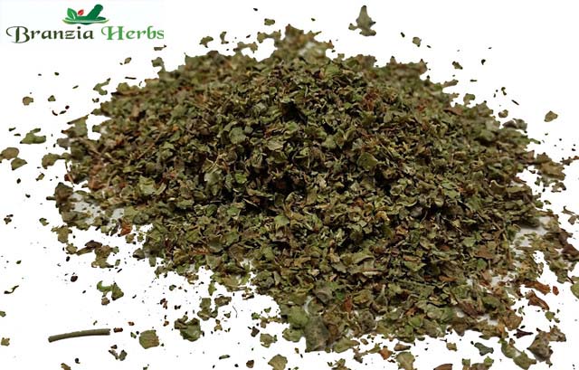 Marjoram Wholesale - Branzia Herbs