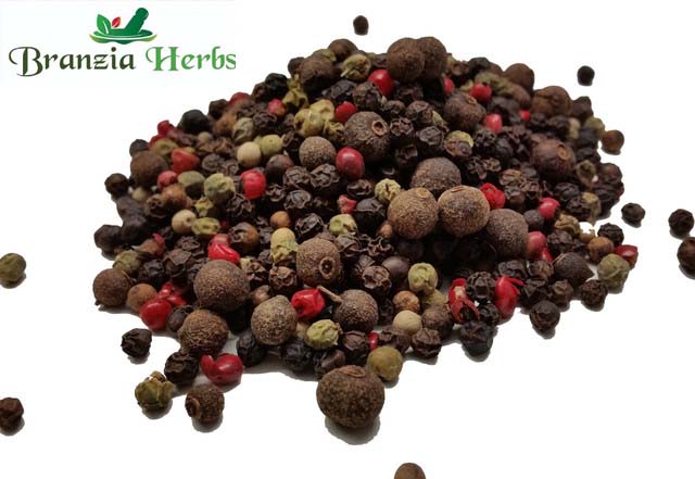 Mixed 5 Peppercorns Wholesale - Branzia Herbs