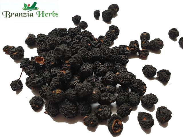 Mountain - Tasmanian Pepper Wholesale - Branzia Herbs