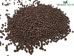 Mustard Seeds Black/Brown Organic Wholesale - Branzia Herbs