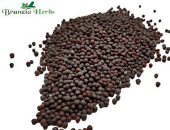 Mustard Seeds Black/Brown Wholesale - Branzia Herbs