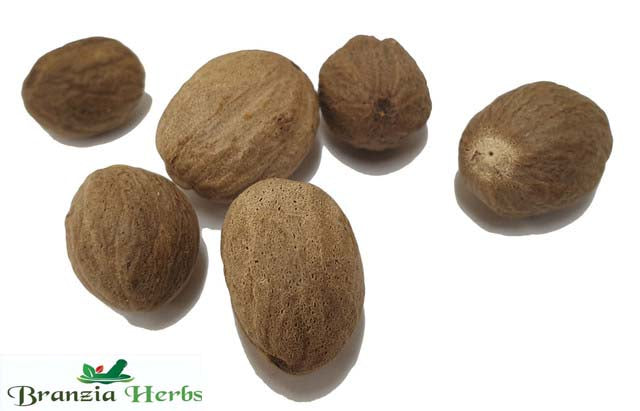 Nutmegs Whole Organic Wholesale - Branzia Herbs