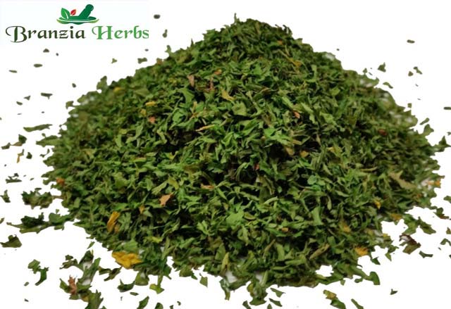 Parsley Wholesale - Branzia Herbs