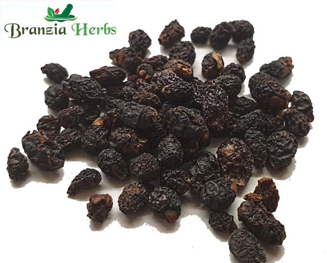 Patagonia (Chilean) Pepper Wholesale - Branzia Herbs