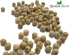 Penja White Pepper Wholesale - Branzia Herbs