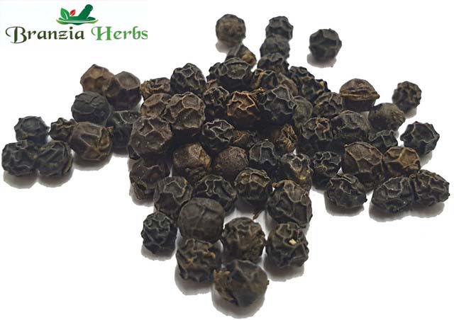 Pondicherry Black Pepper Wholesale - Branzia Herbs