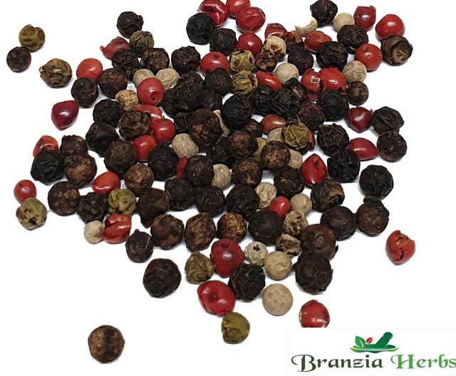 Rainbow 4 Mixed Peppercorns Wholesale - Branzia Herbs