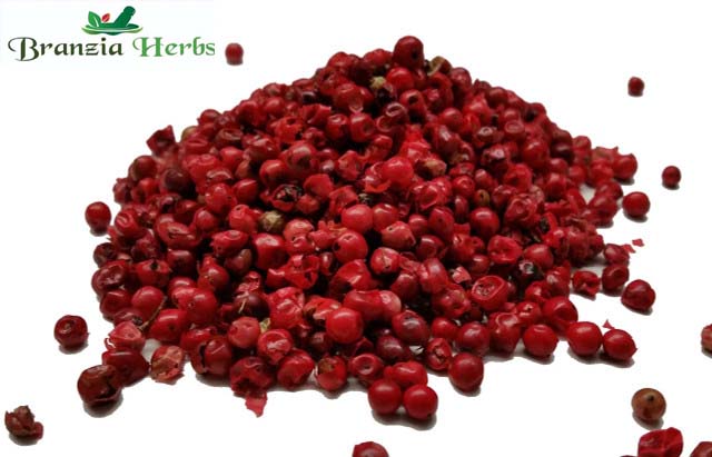 Red Peppercorns Wholesale - Branzia Herbs