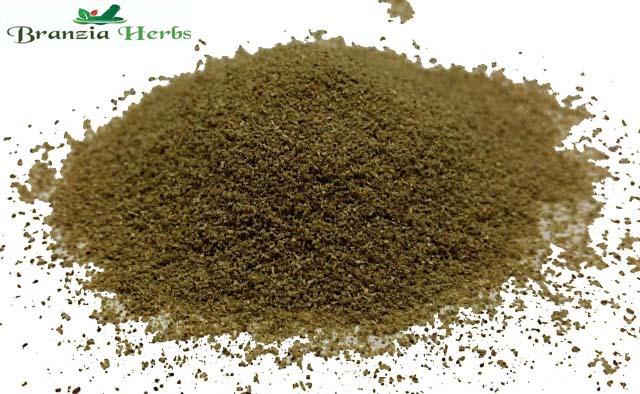 Rosemary Ground Powder Wholesale - Branzia Herbs