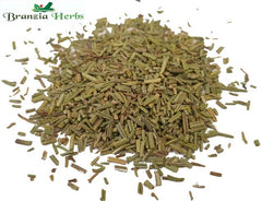 Rosemary Organic Wholesale - Branzia Herbs