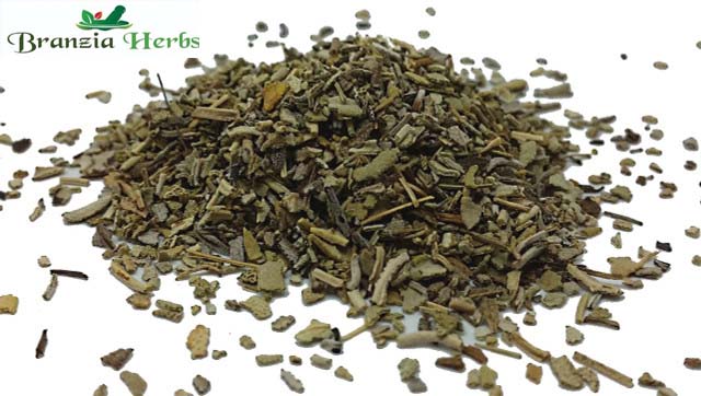 Sage Wholesale - Branzia Herbs