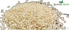 Sesame Seeds White Wholesale - Branzia Herbs