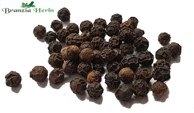 Smoked Highlands Banasura - Urpepper Wholesale - Branzia Herbs