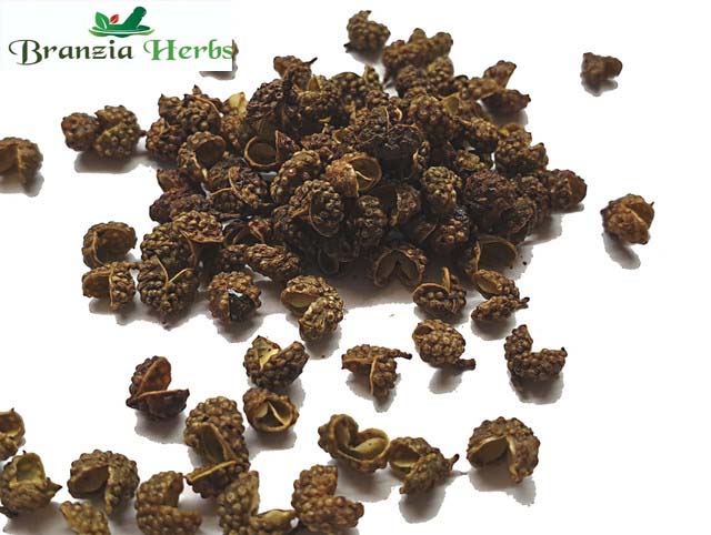 Szechuan Green Peppercorns Wholesale - Branzia Herbs