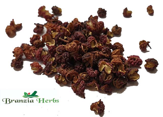 Szechuan Red Peppercorns Wholesale - Branzia Herbs