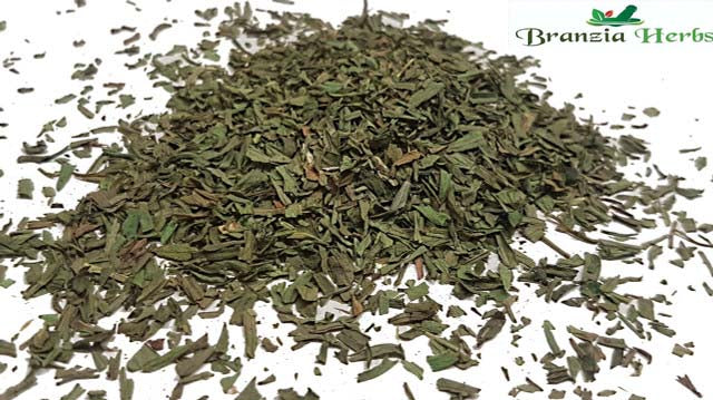 Tarragon Wholesale - Branzia Herbs