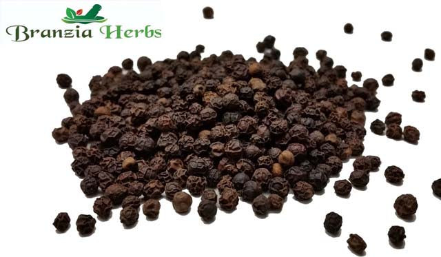 Tellicherry Black Peppercorns Wholesale - Branzia Herbs