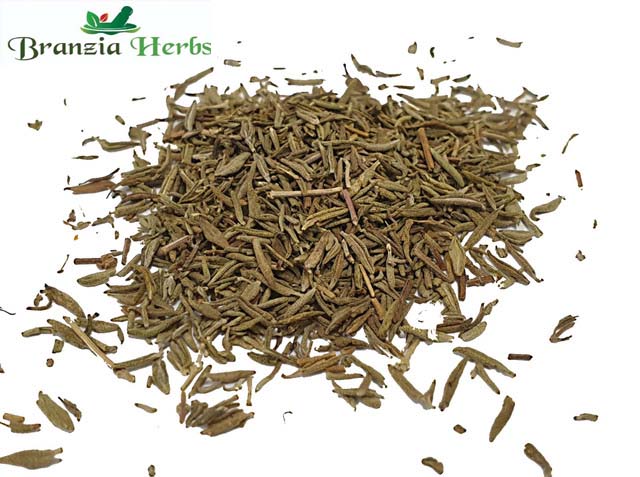 Thyme Organic Wholesale - Branzia Herbs