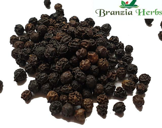 Tiger Pepper - Black Malabar Pepper Wholesale - Branzia Herbs