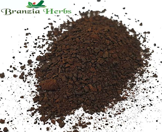Black Garlic Powder Wholesale - Branzia Herbs