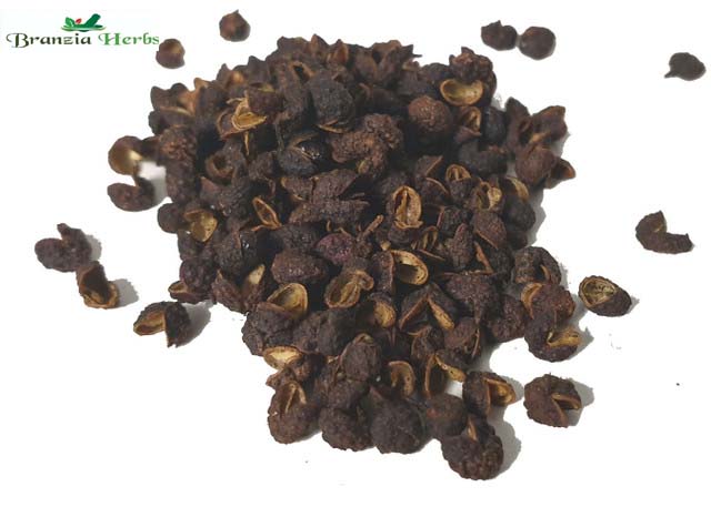 Timut (Timur) Sichuan Peppercorns Wholesale - Branzia Herbs