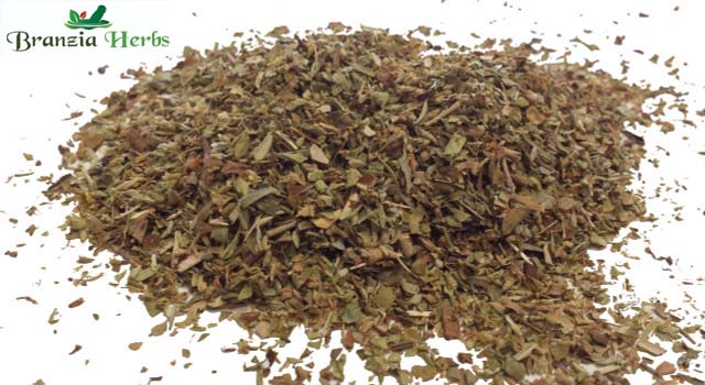 Turkish Oregano Wholesale - Branzia Herbs