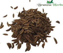 Caraway Seeds Organic Wholesale - Branzia Herbs