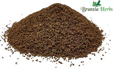 Celery Seeds Wholesale - Branzia Herbs