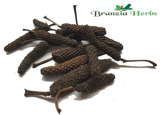 Central Java Long Pepper Wholesale - Branzia Herbs