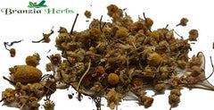 Chamomile Flowers Wholesale - Branzia Herbs