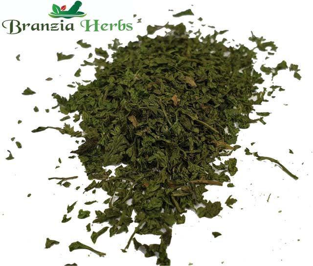 Chervil Organic Wholesale - Branzia Herbs