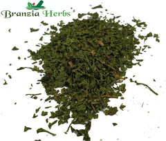 Chervil Organic Wholesale - Branzia Herbs