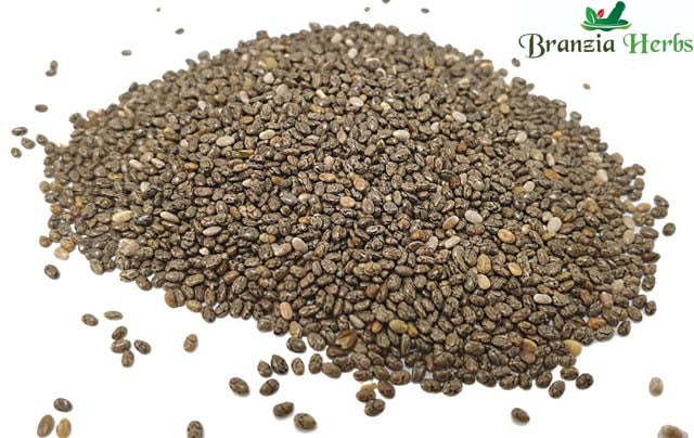 Chia Seeds Wholesale - Branzia Herbs