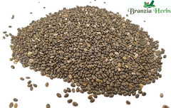 Chia Seeds Wholesale - Branzia Herbs