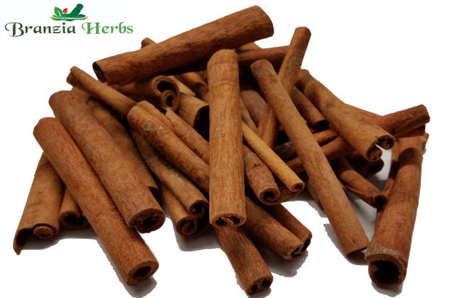 Cinnamon Cassia Quills 8cm Wholesale - Branzia Herbs