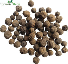 Teakwood Tree Seed - Branzia Herbs