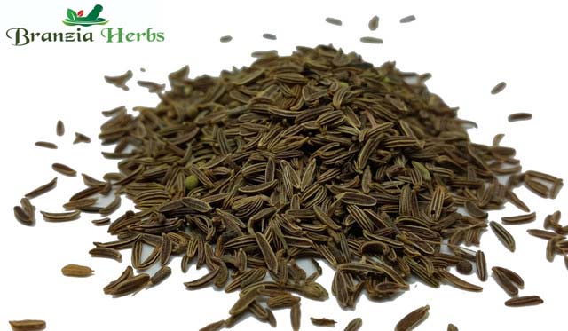 Cumin Seeds Wholesale - Branzia Herbs