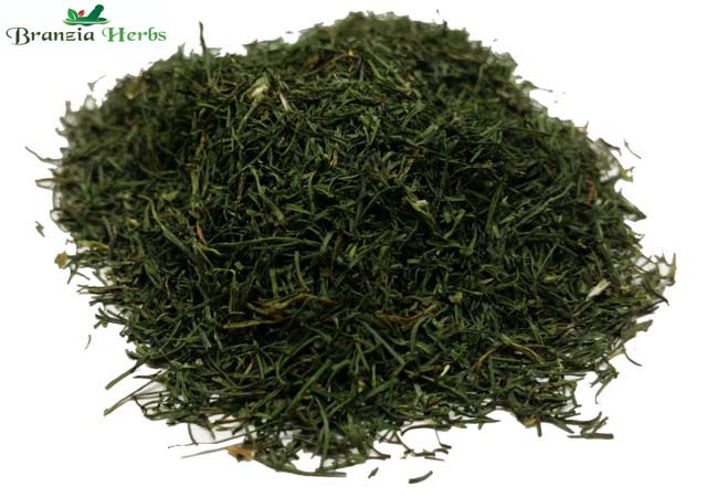 Dill Tips Wholesale