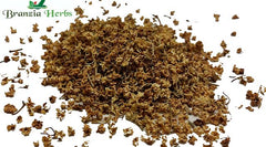 Elderflower Wholesale - Branzia Herbs