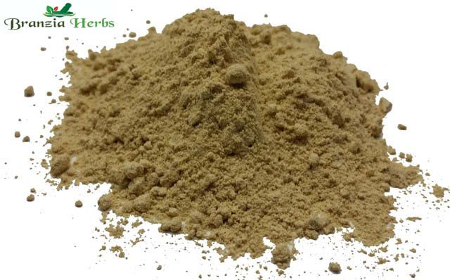 Fennel Ground Powder Wholesale - Branzia Herbs