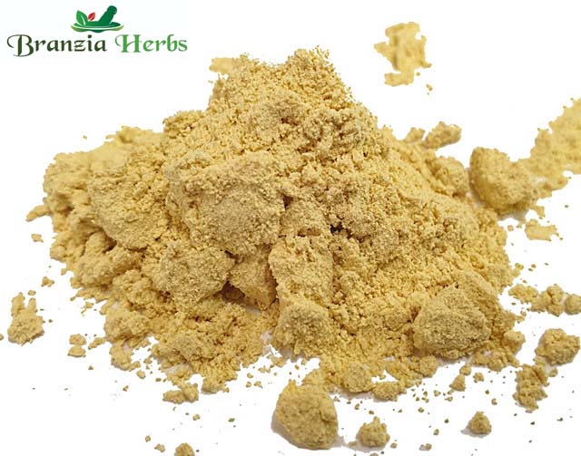 Fenugreek Powder Organic Wholesale - Branzia Herbs