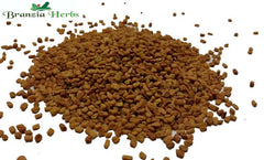 Fenugreek Seeds Wholesale - Branzia Herbs